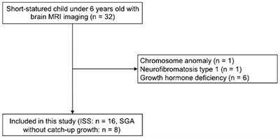 Brain morphometric changes in children born as small for gestational age without catch up growth